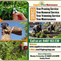 Sapphire Tree Maintenance | Chipping Ravenshoe image 1